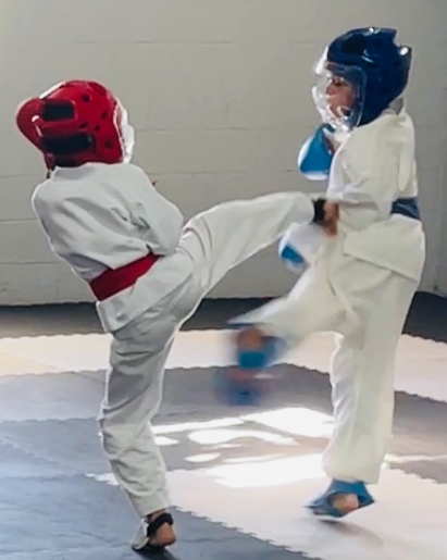 karate_sm
